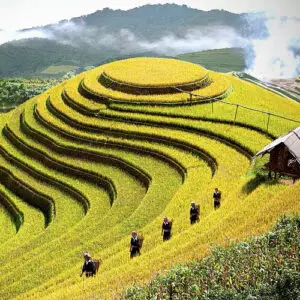 Tây Bắc