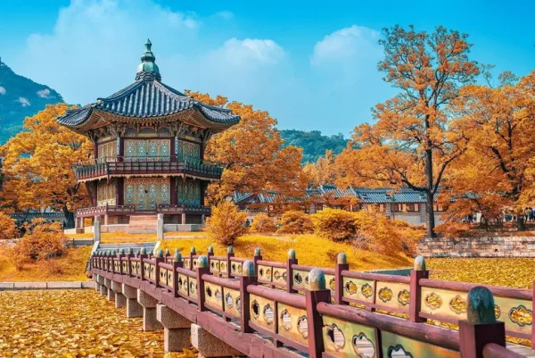 TOUR HÀ NỘI – SEOUL – NAMI – LOTTE WORLD 5N5D - Hình ảnh 2