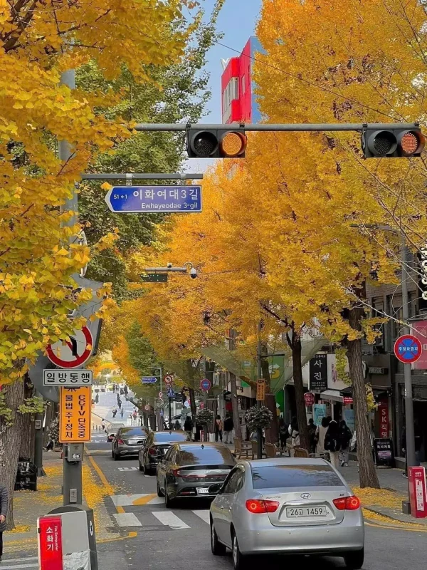 TOUR HÀ NỘI – SEOUL – NAMI – LOTTE WORLD 5N5D
