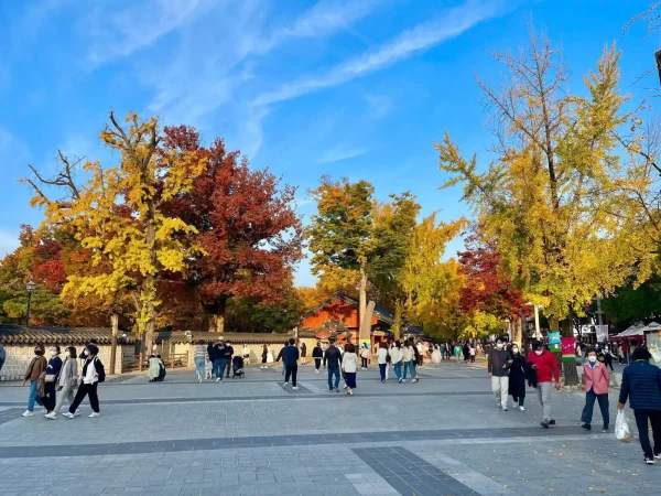 TOUR HÀ NỘI – SEOUL – NAMI – LOTTE WORLD 5N5D - Hình ảnh 4