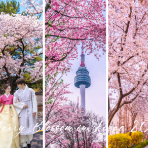 HÀ NỘI - SEOUL - NAMI - EVERLAND - CÔNG VIÊN YEOUIDO - RỪNG SEOUL