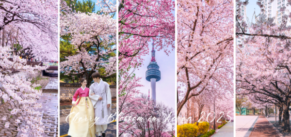 HÀ NỘI - SEOUL - NAMI - EVERLAND - CÔNG VIÊN YEOUIDO - RỪNG SEOUL