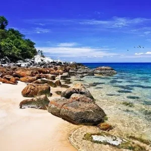 Tour Cù Lao Chàm Trong Ngày – Lặn Biển, Khám Phá & Trải Nghiệm Thiên Nhiên