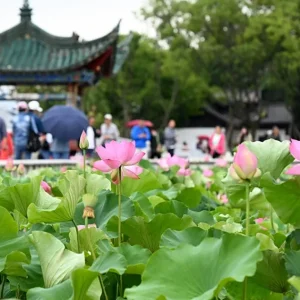 HÀ NỘI – ĐẠI LÝ – CÔN MINH – ĐẠI QUAN LẦU